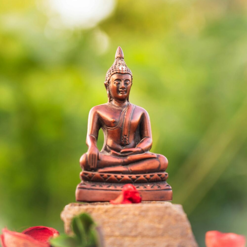 shanthi-raja-usHvD_mkCvo-unsplash